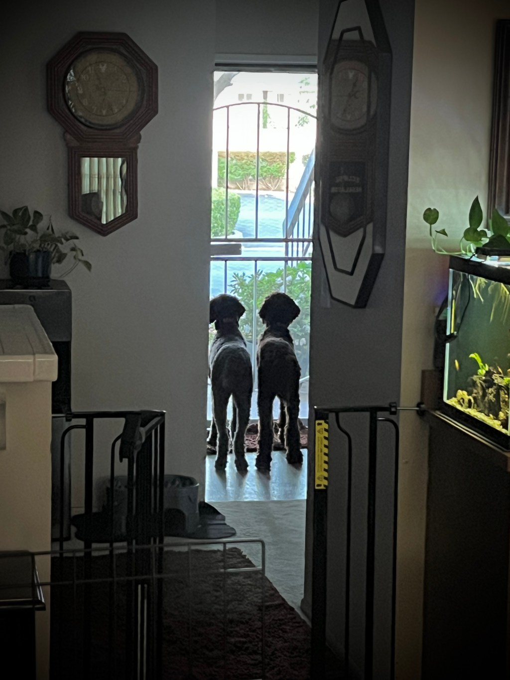 A customer service&nbsp;perspective